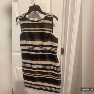 Womens Ann Taylor size 10p sheath dress